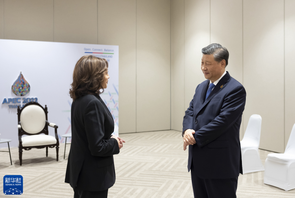 习近平会见美国副总统.JPG