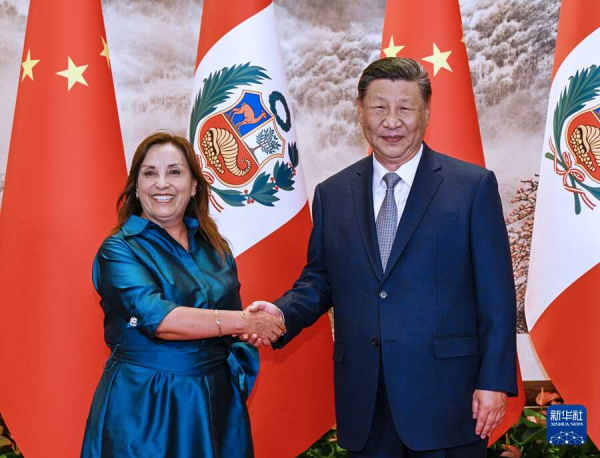 习近平同秘鲁总统会谈.png
