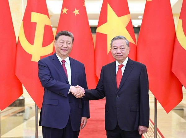 习近平与越共总书记苏林会谈.jpg